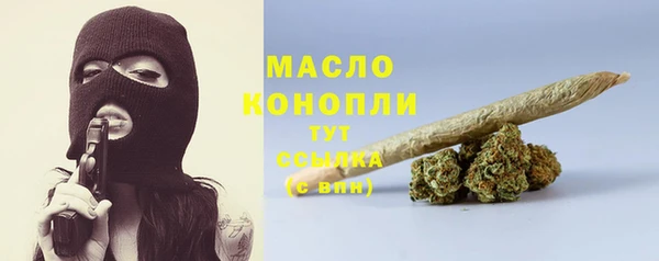 гидра Горно-Алтайск