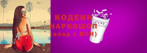 прущая мука Вяземский