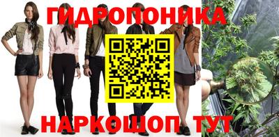 винт Балахна