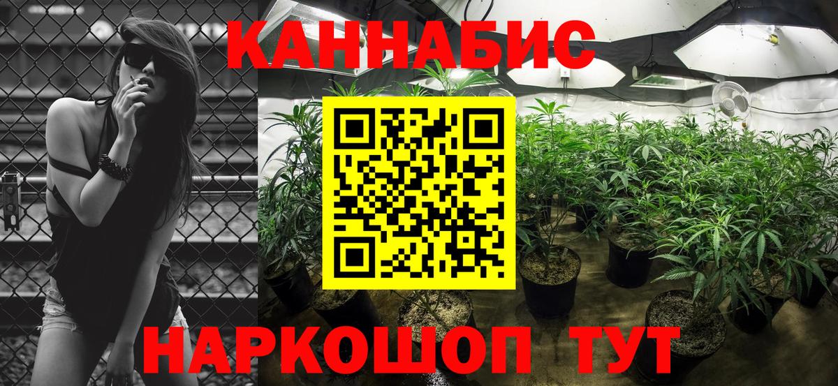 Бошки марихуана конопля Моршанск